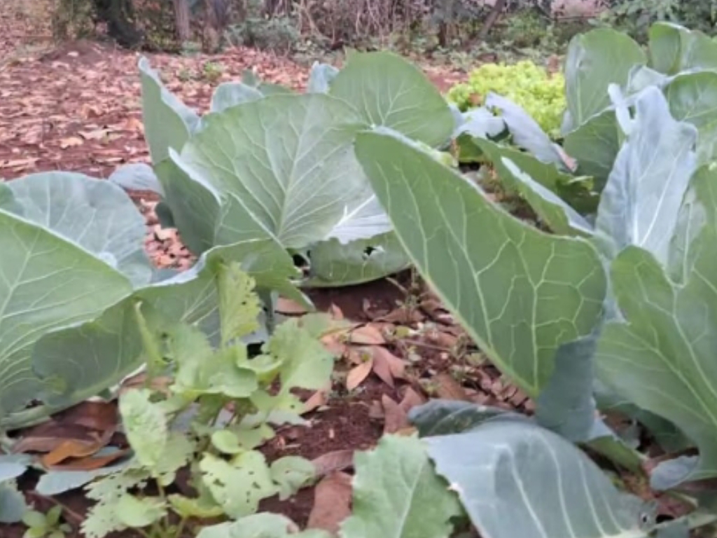 Dia 27 de outubro de 2025