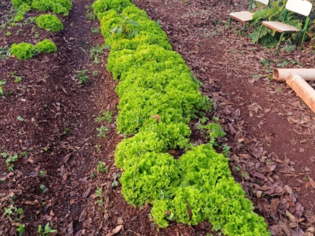 Dia 27 de outubro de 2025